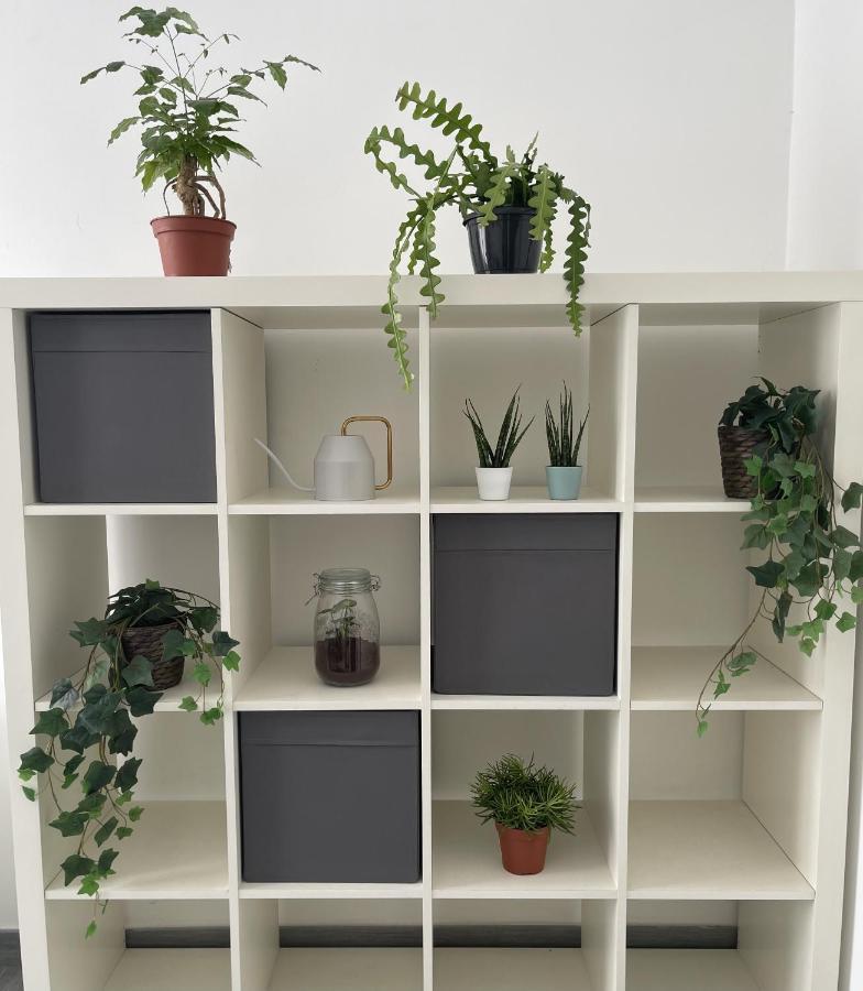 Ami House Roma公寓 外观 照片